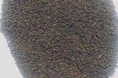 1_BP2