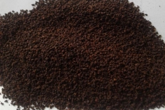 1_BP3