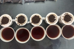 1_tea-testing